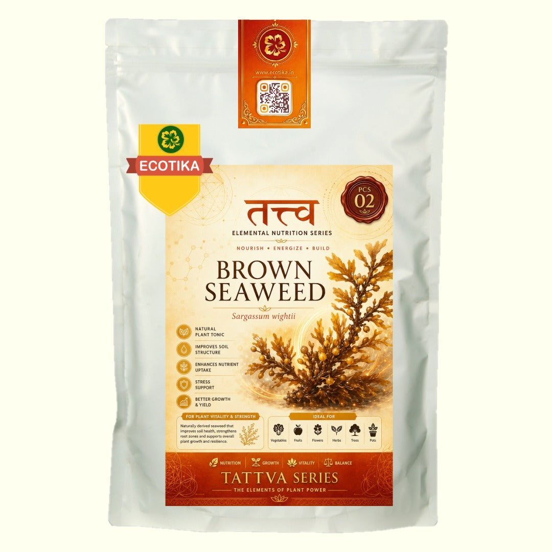 Ecotika Brown Seaweed -Sargassum for Plants