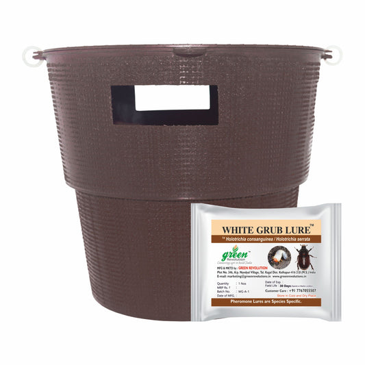 Green Revolution Bucket Trap With White Grub Lure