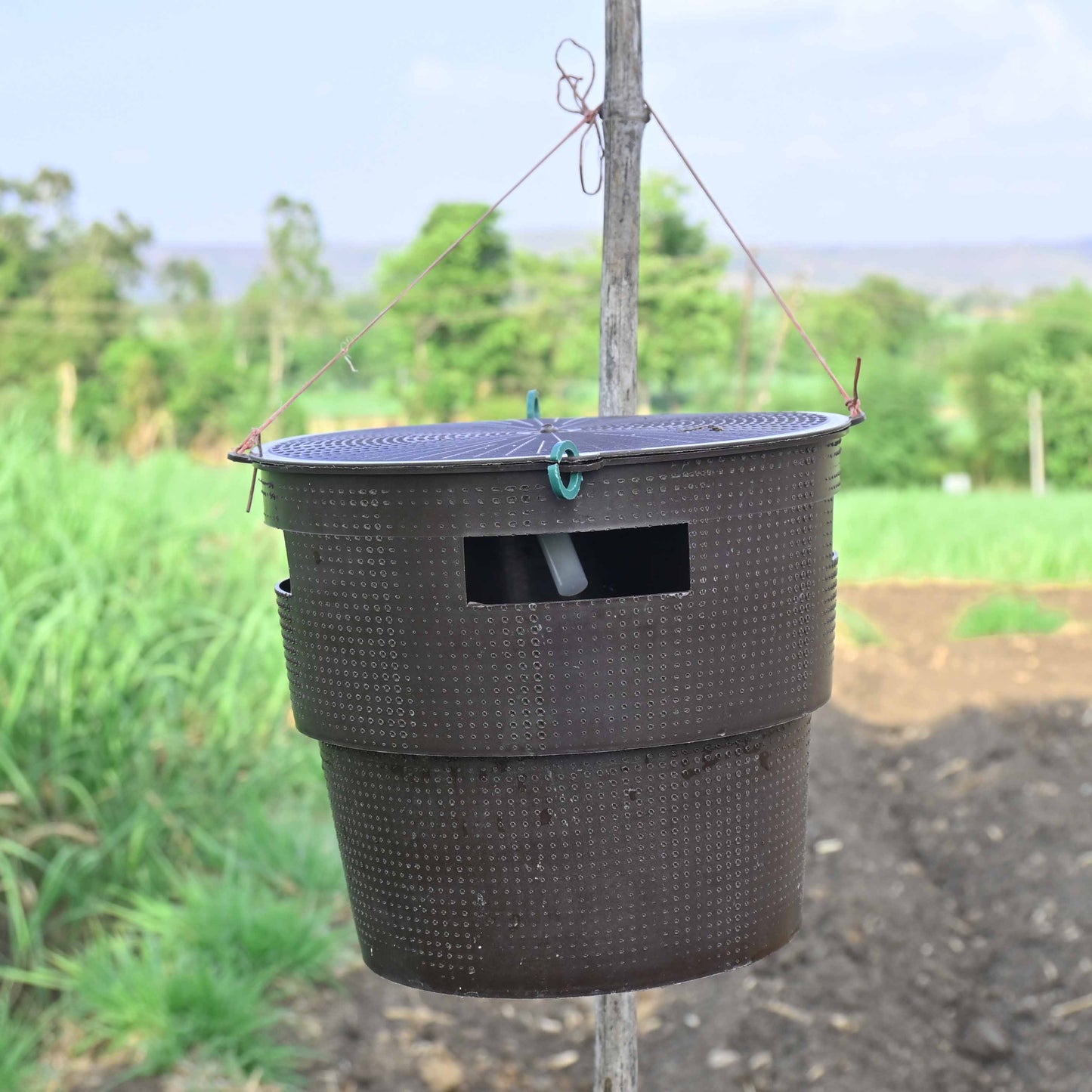Green Revolution Bucket Trap With White Grub Lure