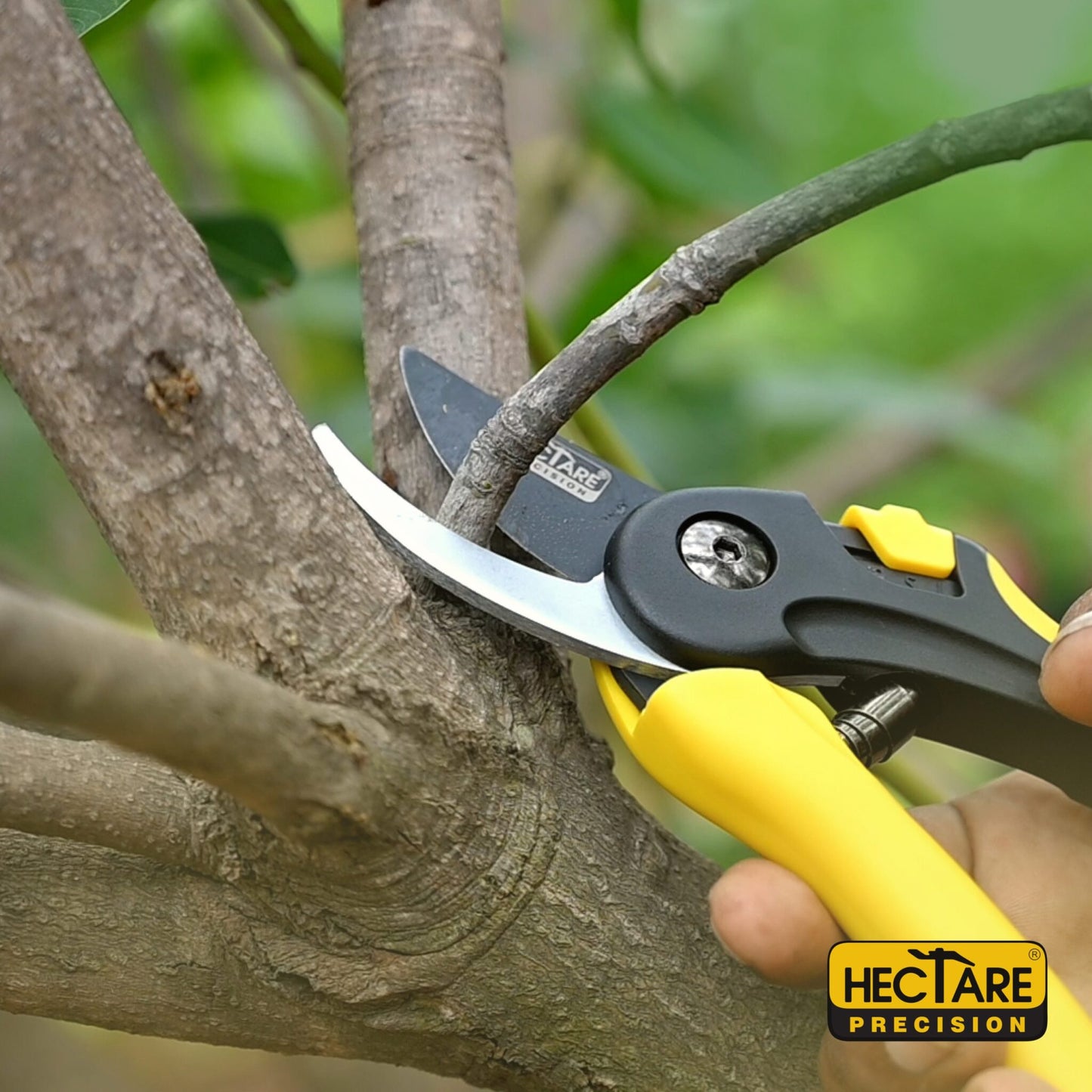 Hectare Small Bypass  Secateur Branch Cutter (Taiwan Made)