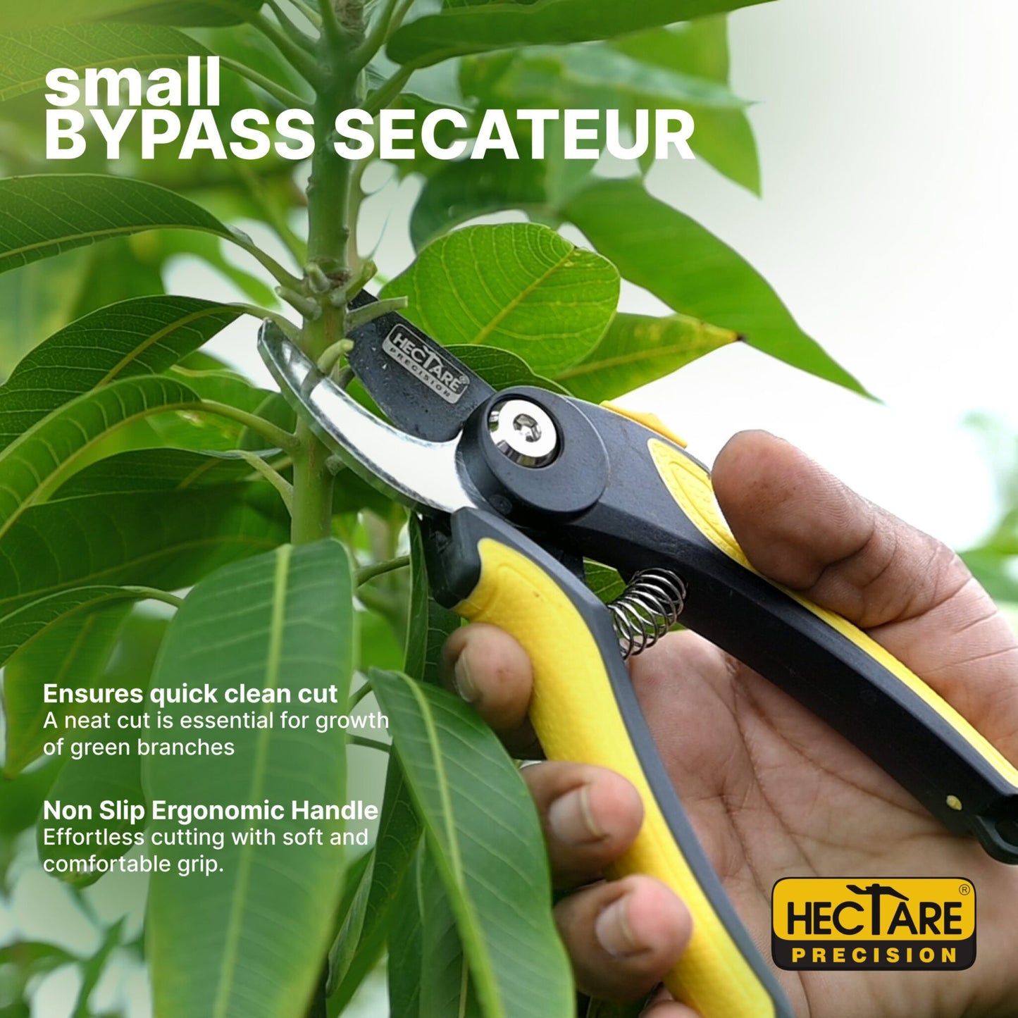 Hectare Small Bypass  Secateur Branch Cutter (Taiwan Made)