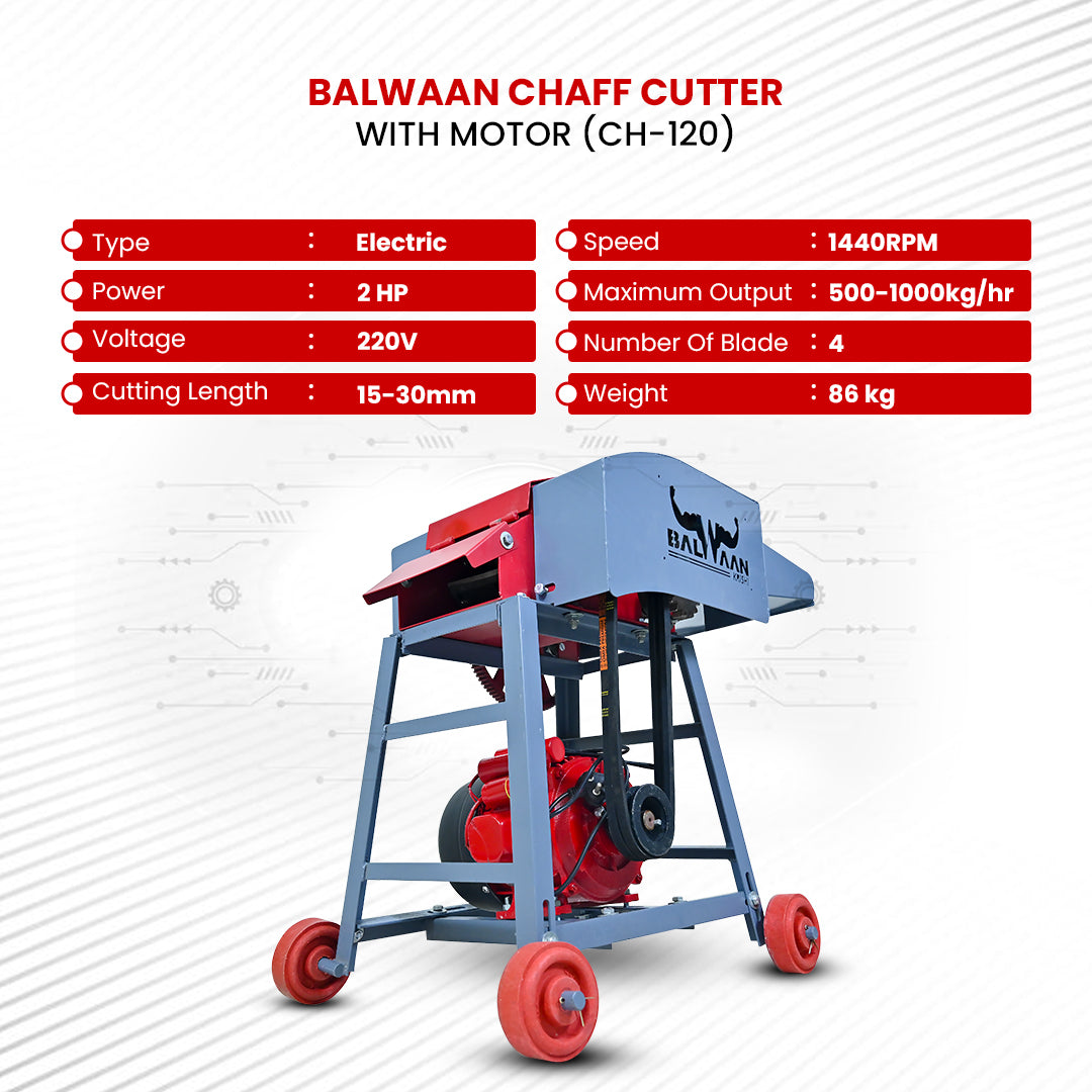 Balwaan Krishi Chaff Cutter with 2HP Motor CH-120