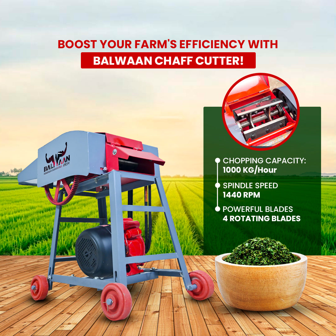 Balwaan Krishi Chaff Cutter with 2HP Motor CH-120