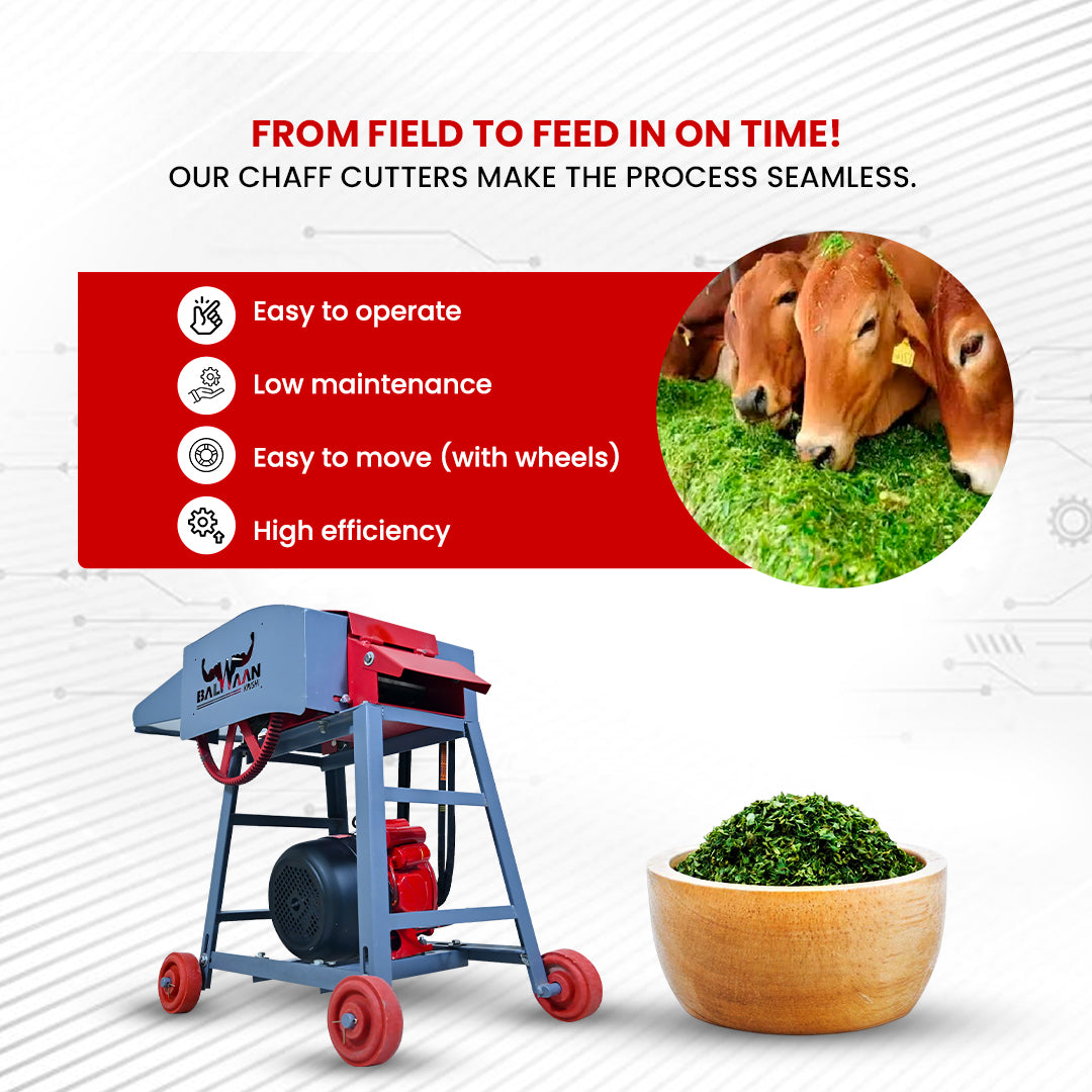 Balwaan Krishi Chaff Cutter with 2HP Motor CH-120