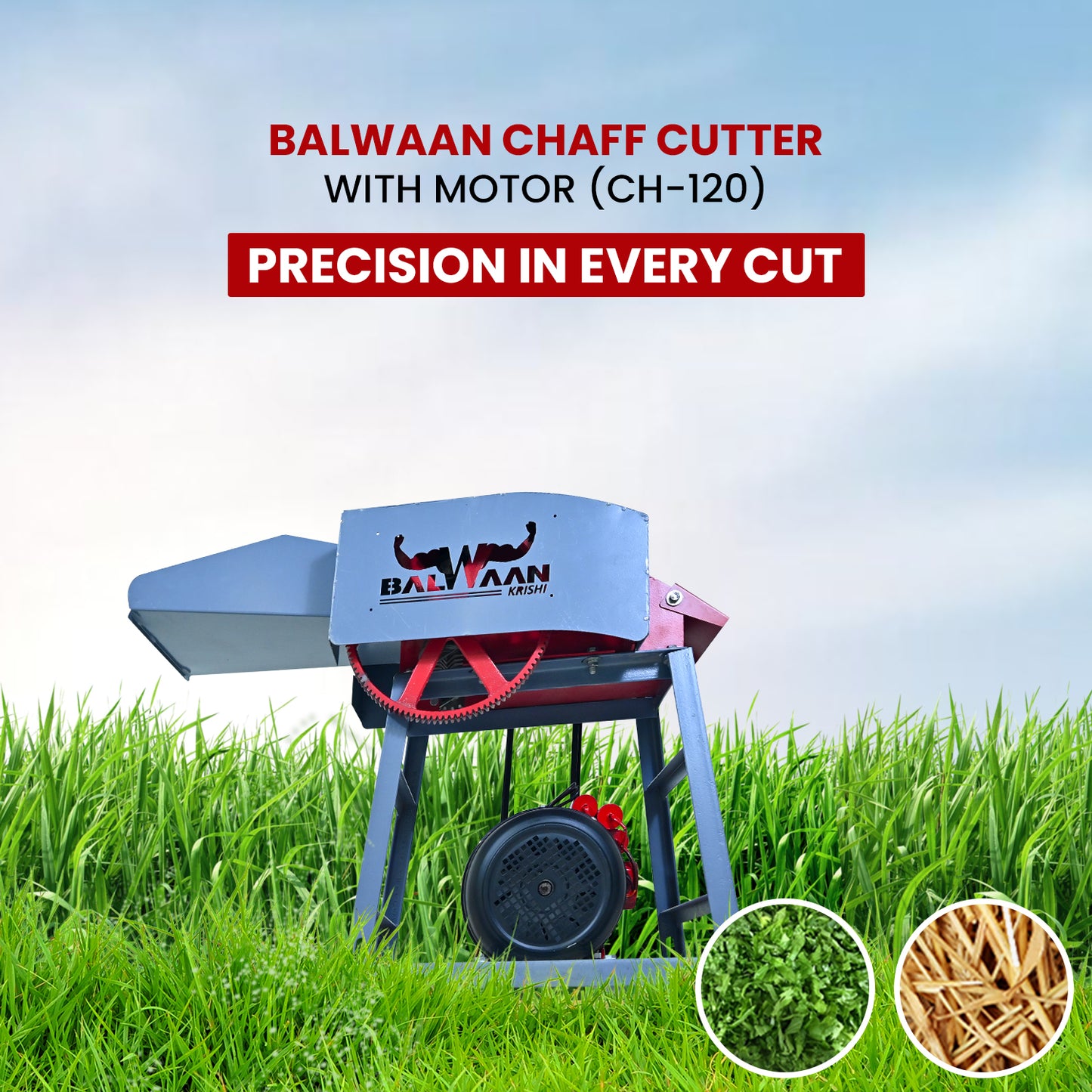 Balwaan Krishi Chaff Cutter with 2HP Motor CH-120