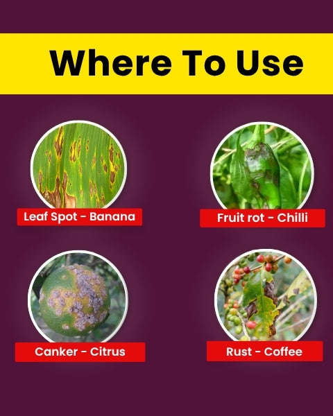 Katyayani COC 50 | Copper Oxychloride 50% WP | Fungicide for Rust Disease