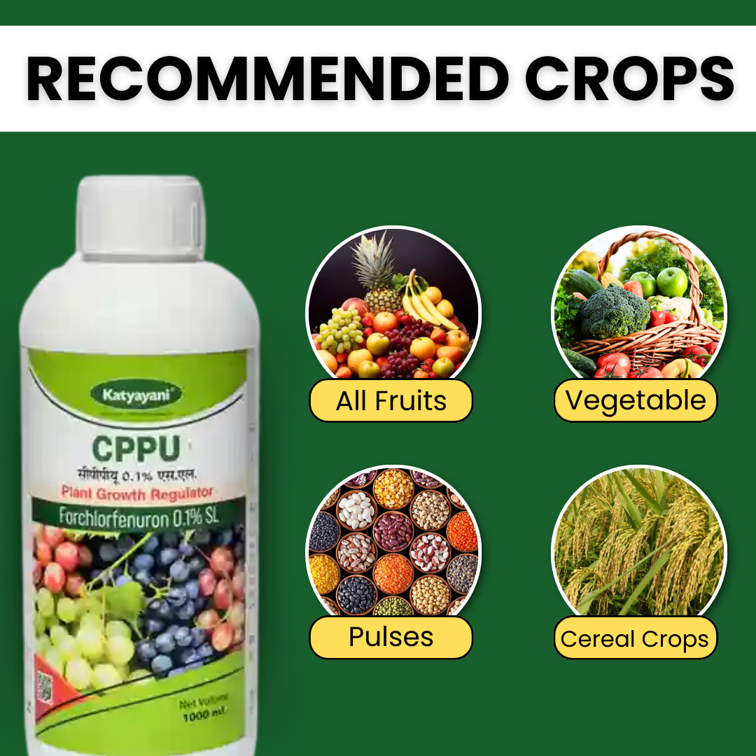 Katyayani CPPU - Forchlorfenuron 0.1%