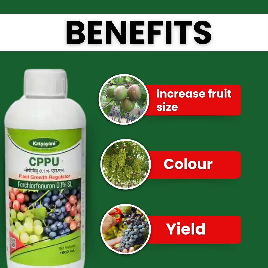 Katyayani CPPU - Forchlorfenuron 0.1%