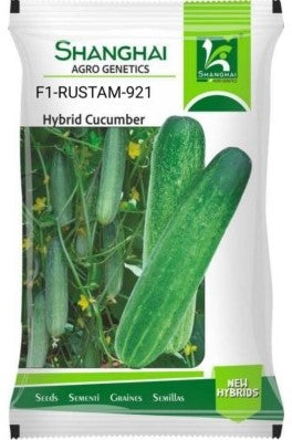 Cucumber Rustam 921
