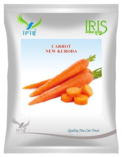 Carrot Imported OP Iris New Kuroda