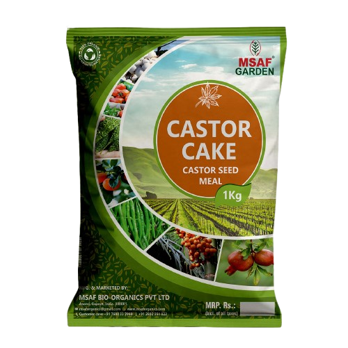 MSAF Castor Cake
