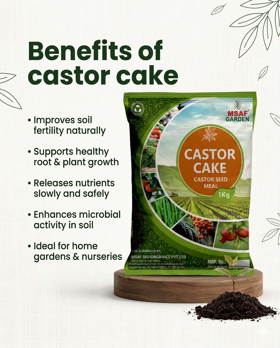 MSAF Castor Cake