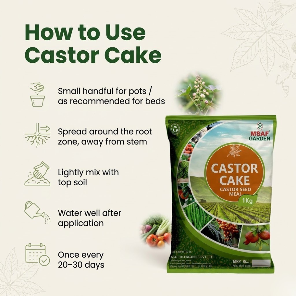 MSAF Castor Cake