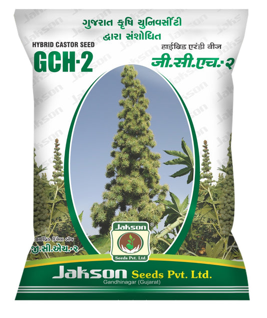 Castor / Aerandi Hybrid Jakson GCH-2 Seed