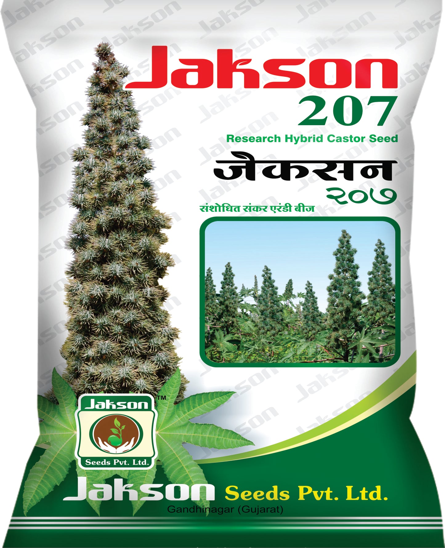 Jakson 207 Research Hybrid Castor Seed