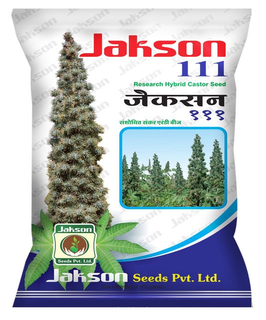 Castor / Aerandi Research Hybrid Jakson 111 Seeds
