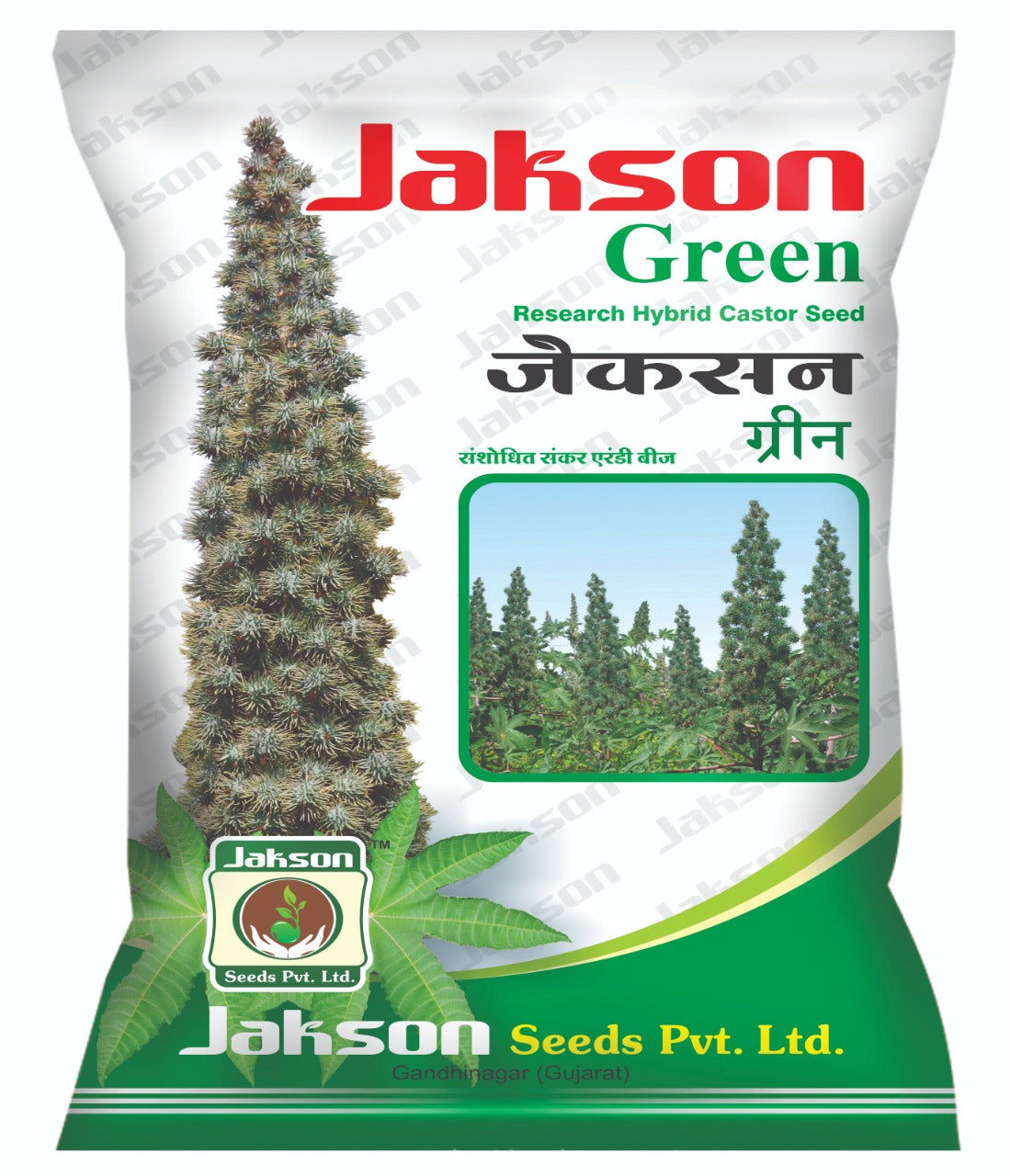 Castor / Aerandi Jackson Green Research Seeds