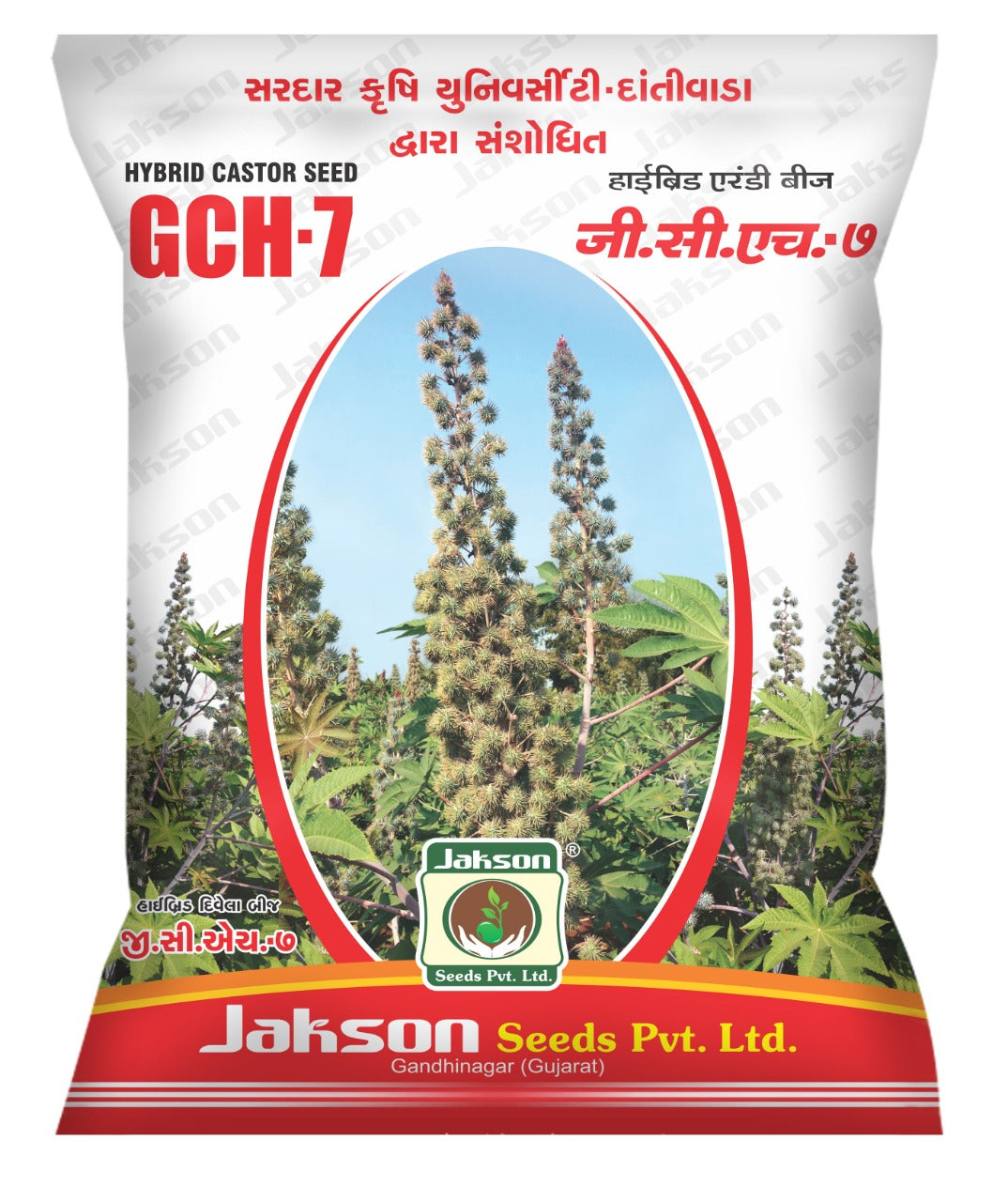 Jakson Hybrid Castor Seed GCH 7