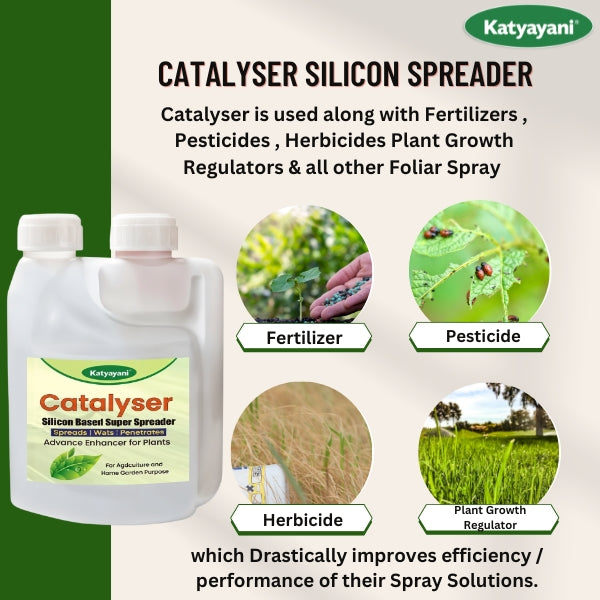 Katyayani Catalyser - Silicon Super Spreader
