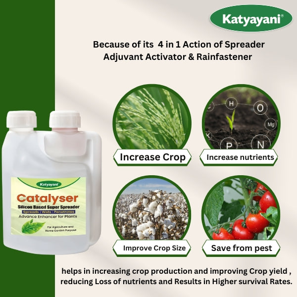Katyayani Catalyser - Silicon Super Spreader