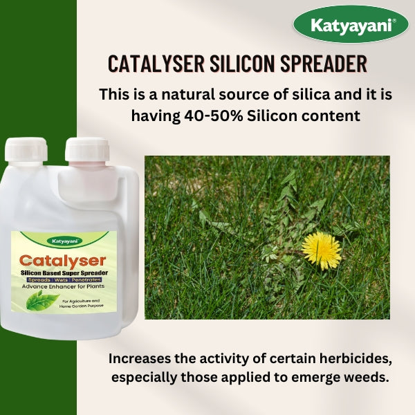 Katyayani Catalyser - Silicon Super Spreader