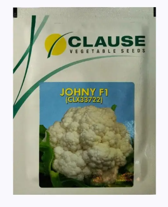 Cluse Cauliflower F1 Johny