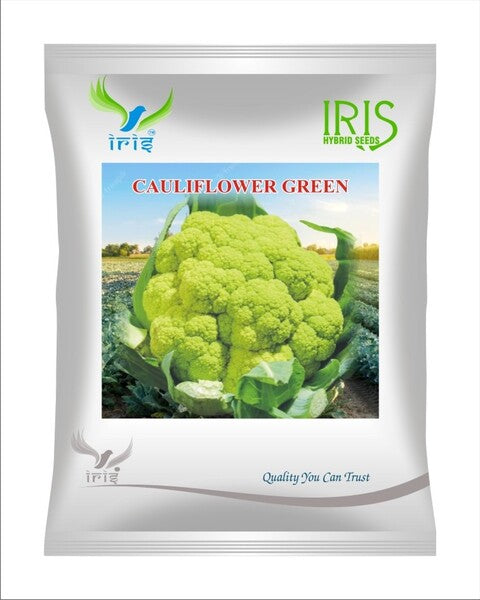 Iris OP Cauliflower Green