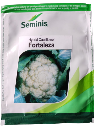 Cauliflower Fortaleza