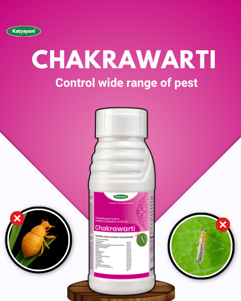 Katyayani Chakrawarti - Thiamethoxam 12.6% + Lambda cyhalothrin 9.5% ZC