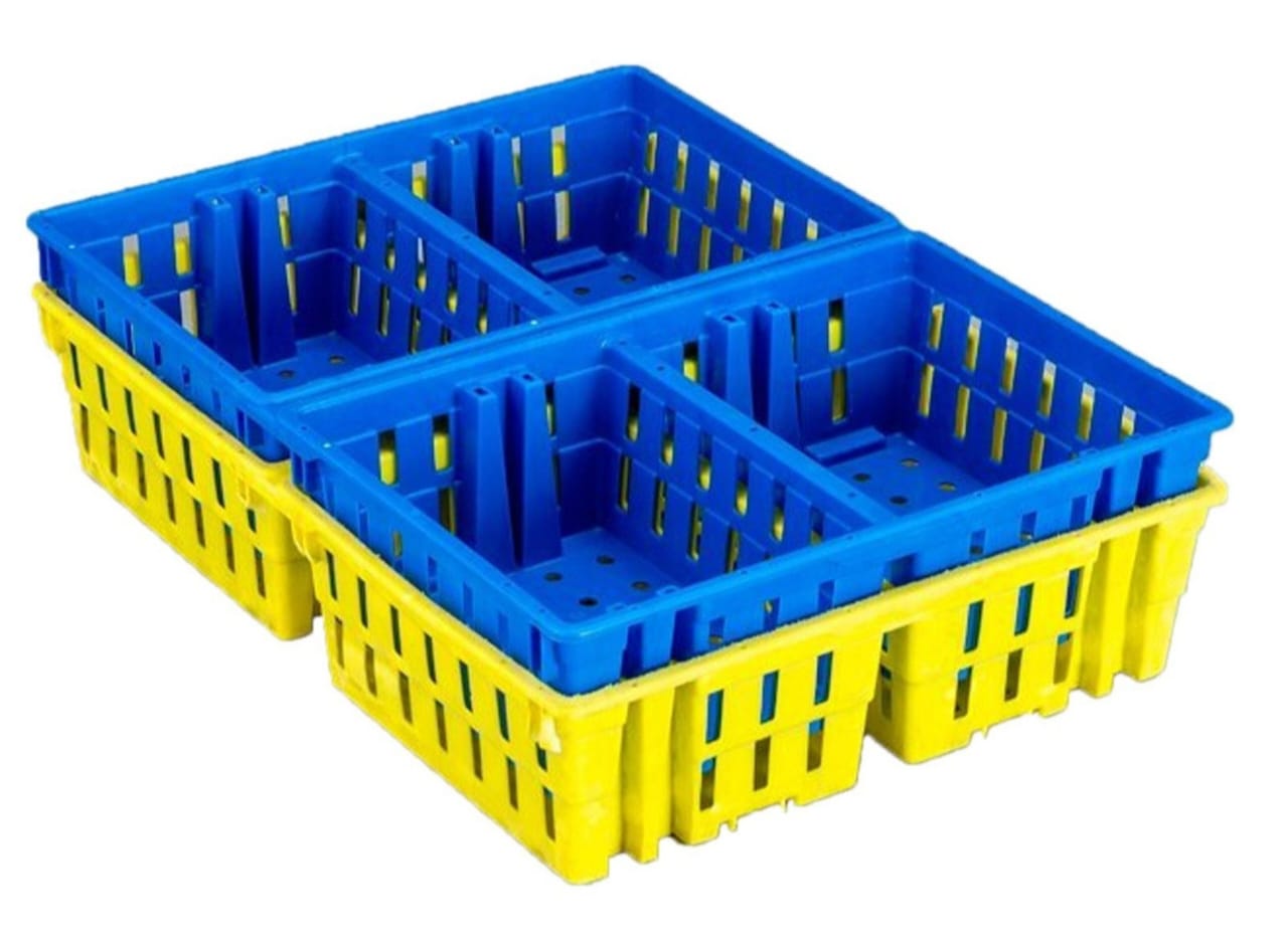 V-Arch Chick Transport Box