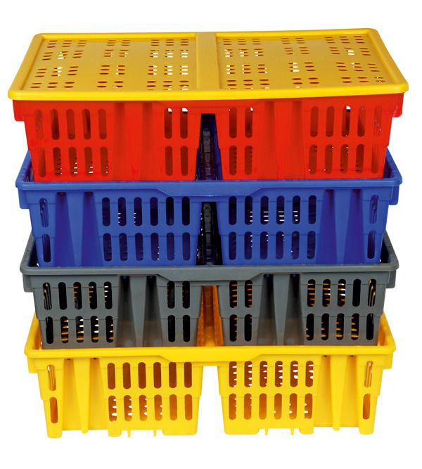 V-Arch Chick Transport Box