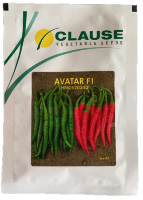 Chilli / Hot Pepper Avatar
