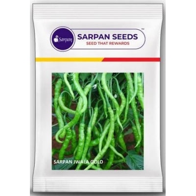 Chilli / Hot Pepper Sarpan Jwala Gold - 20 grams
