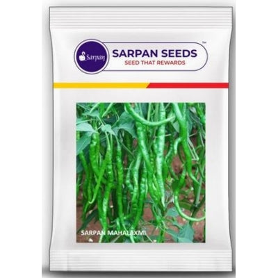 Chilli / Hot Pepper Sarpan Mahalaxmi -10 grams