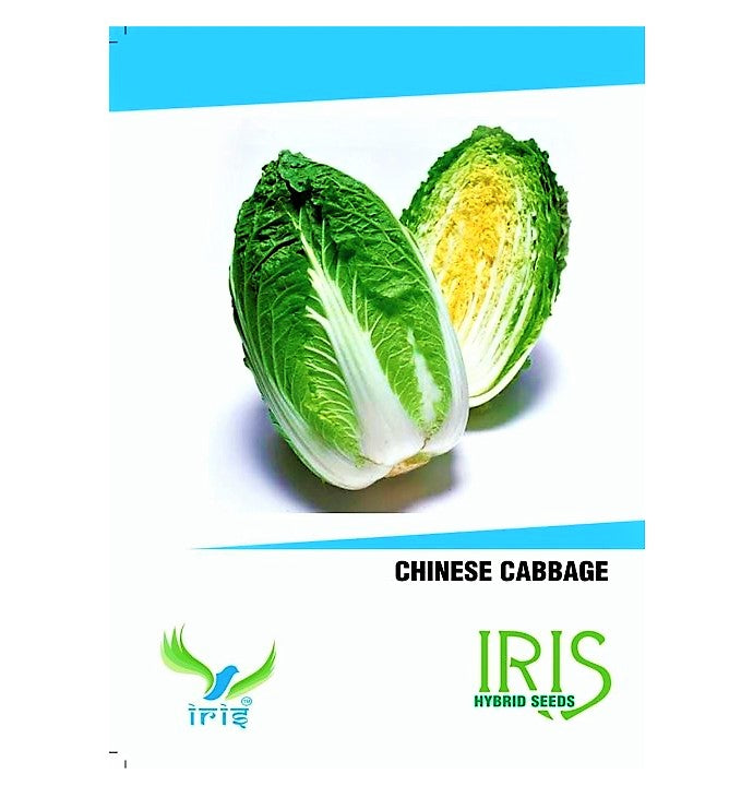Iris F1 Chinese Cabbage