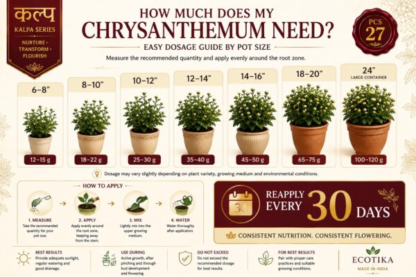Ecotika Chrysanthemum Special - Chrysanthemum Plant Food for Flowering