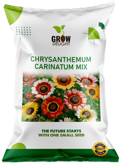 Grow Delight Imported Chrysanthemum Carinatum Mix