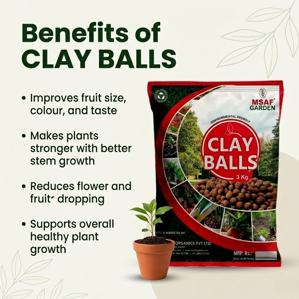 MSAF Clay Balls