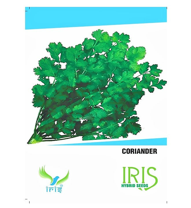 Iris Imported Coriander / Dhaniya