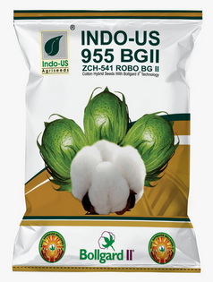 Cotton Indo US 955 Plus BG II