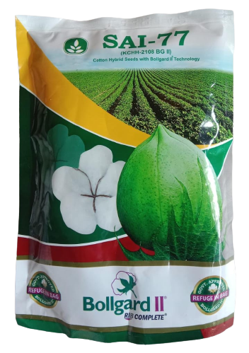 Cotton Sai 77 BG II