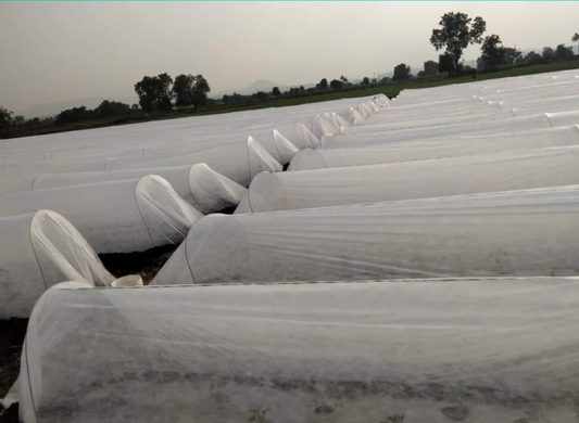 Crop Guard Crop Cover for Crop Protection