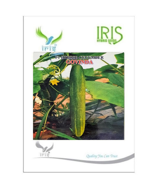 Cucumber / Kakri F1 Iris Govinda