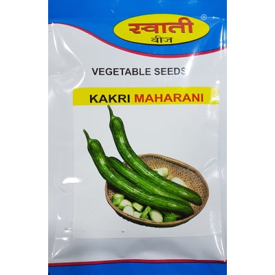 Cucumber Maharani