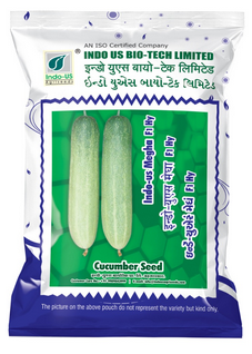 Cucumber Indo US Megha