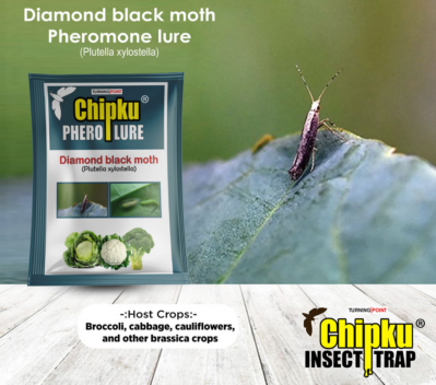 Chipku Pheromone Water Trap with DBM Lure (Combo Pack of 6)