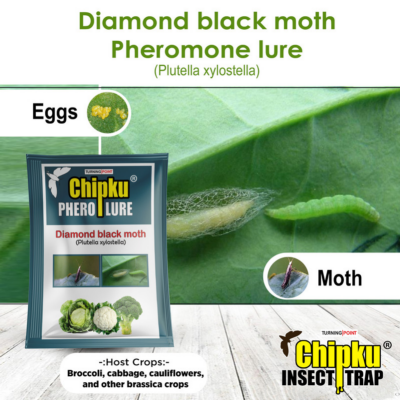 Chipku Pheromone Water Trap with DBM Lure (Combo Pack of 6)