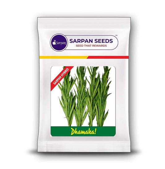 Clusterbean / Guar Sarpan Dhamaka