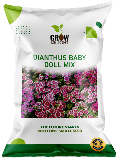 Grow Delight Imported Dianthus Baby Doll Mix - 600 seeds