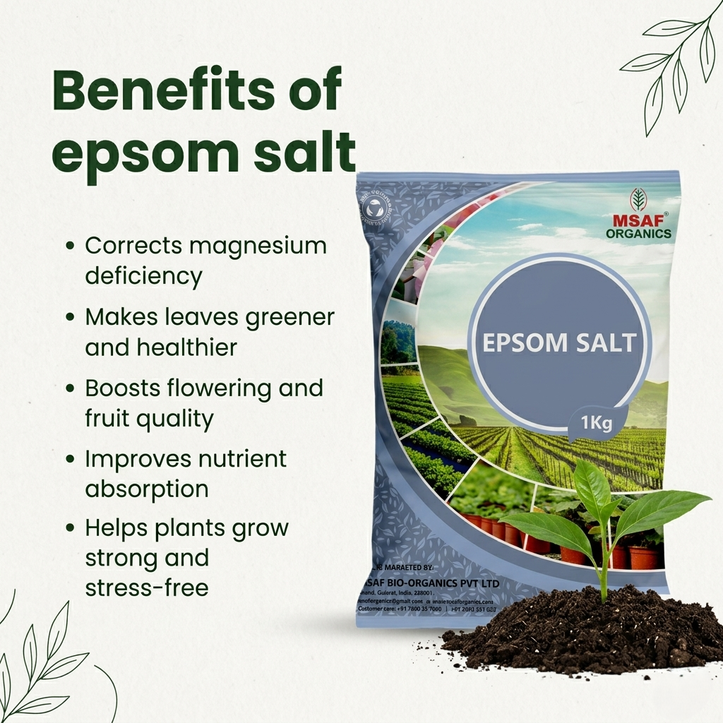 MSAF Epsom Salt